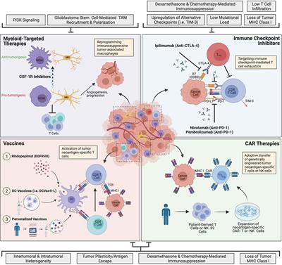 Frontiers | Immunotherapy For Glioblastoma: Current Progress And Challenges